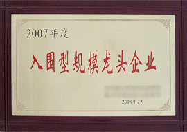 2007年度入圍型規(guī)模龍頭企業(yè)